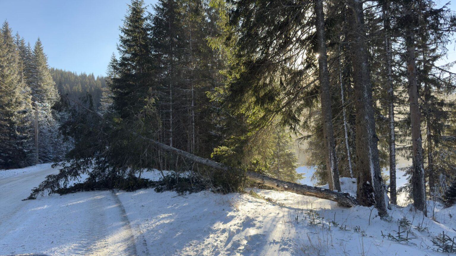 Vântul puternic a provocat pagube în zona montană a județului Dâmbovița, autoritățile au intervenit pentru remedierea situației