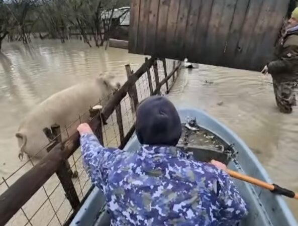 Viitură puternică  în satul Ionești, comuna Petrești: Complex piscicol distrus, fermieri disperați, localnicii acuză manevre la baraje