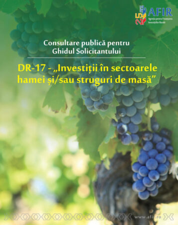 AFIR lansează consultarea publică pentru investiții în struguri de masă prin intervenția DR-17