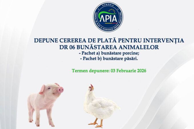 APIA primește cereri de plată pentru bunăstarea animalelor – Campania 2026