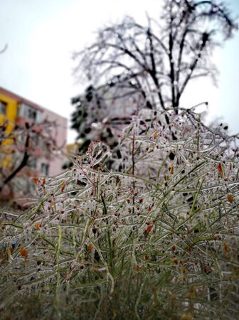 Județul Dâmbovița, sub informare meteorologică până pe 1 februarie: Ploi, lapoviță, polei, vânt și ger în următoarele zile