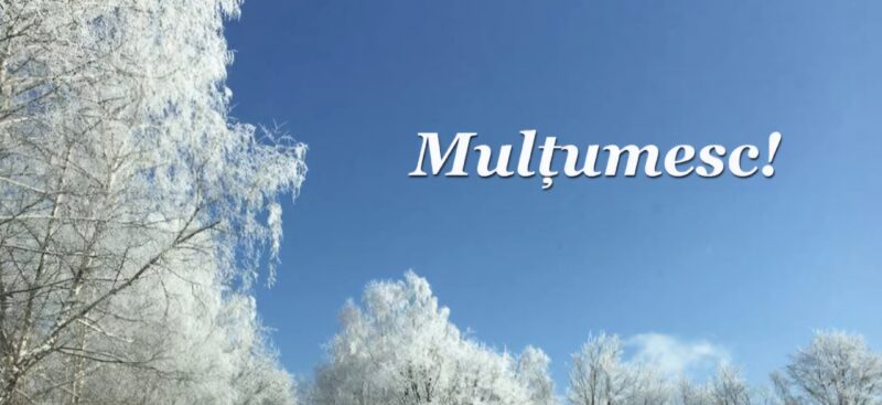 11 ianuarie – Ziua Internațională a cuvântului „Mulțumesc”