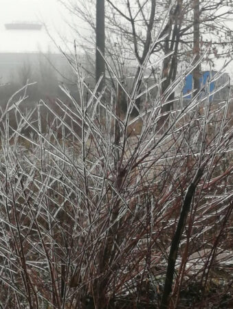 ȘOC TERMIC în zilele următoare: Ger și temperaturi de până la -18°C, la final de ianuarie