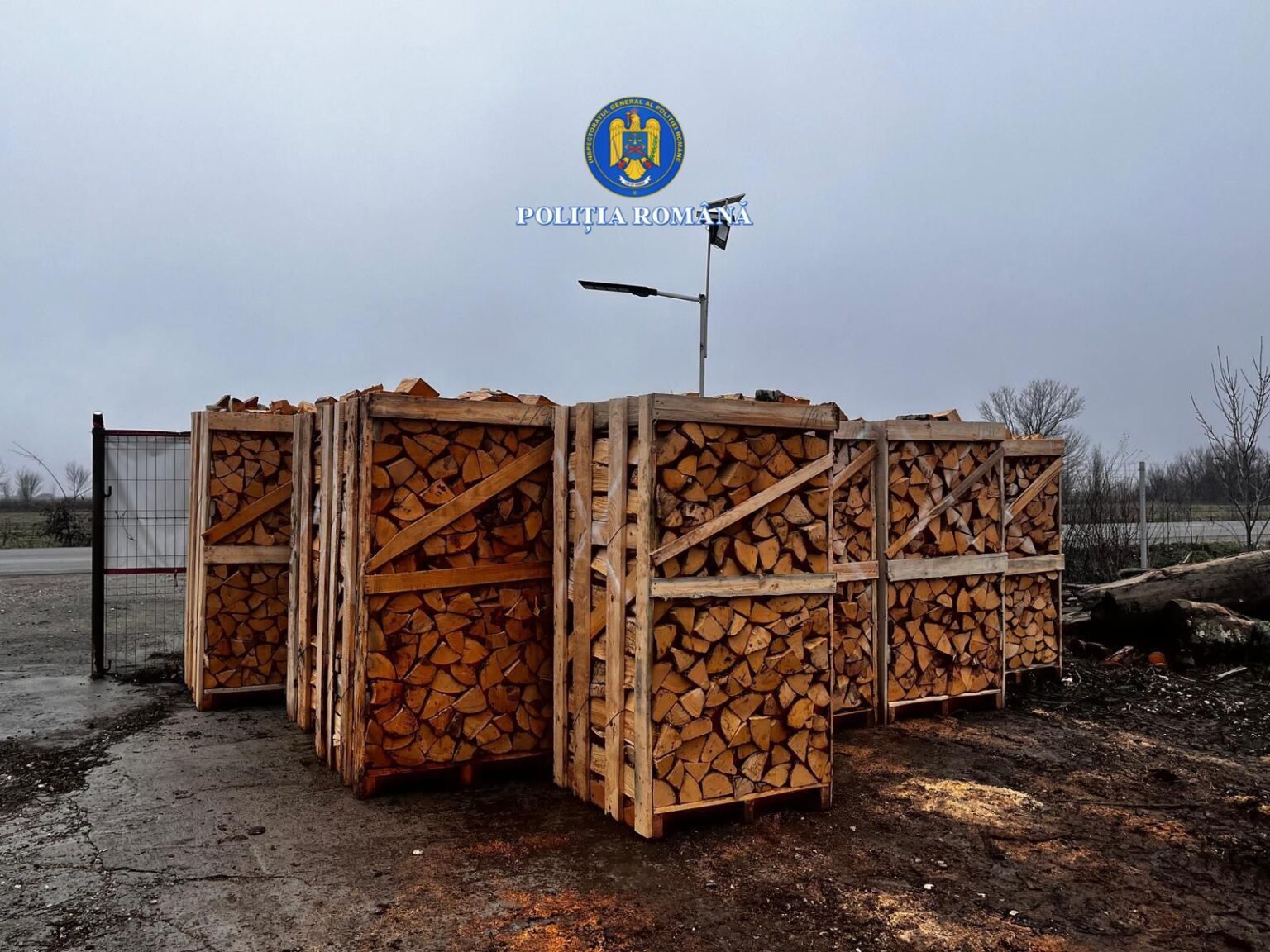 Transport ilegal de material lemnos, oprit de polițiști în Dâmbovița 