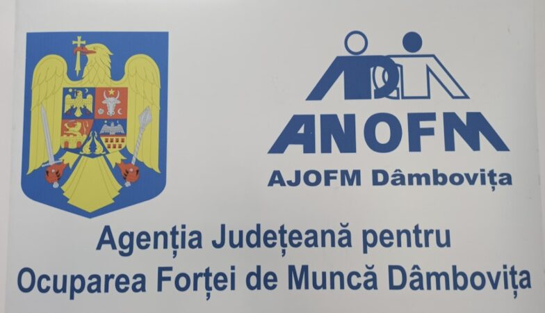 AJOFM Dâmbovița: Peste 280 de locuri de muncă disponibile pentru dâmbovițeni