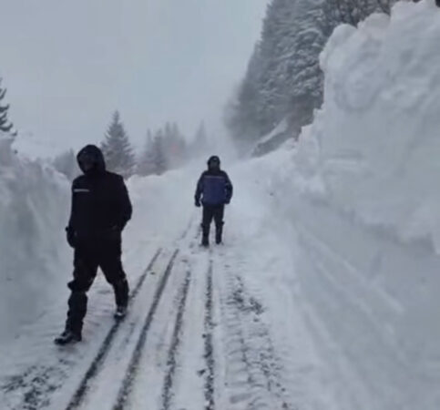 Avalanșă în Munții Bucegi: Jandarmii montani dâmbovițeni au intervenit 