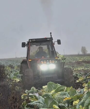 MADR simplifică mecanismele de garantare și finanțare pentru fermieri: Proceduri debirocratizate și acces mai ușor la fonduri europene