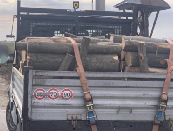 Poliția și Garda Forestieră în acțiune! Material lemnos confiscat în Dâmbovița 