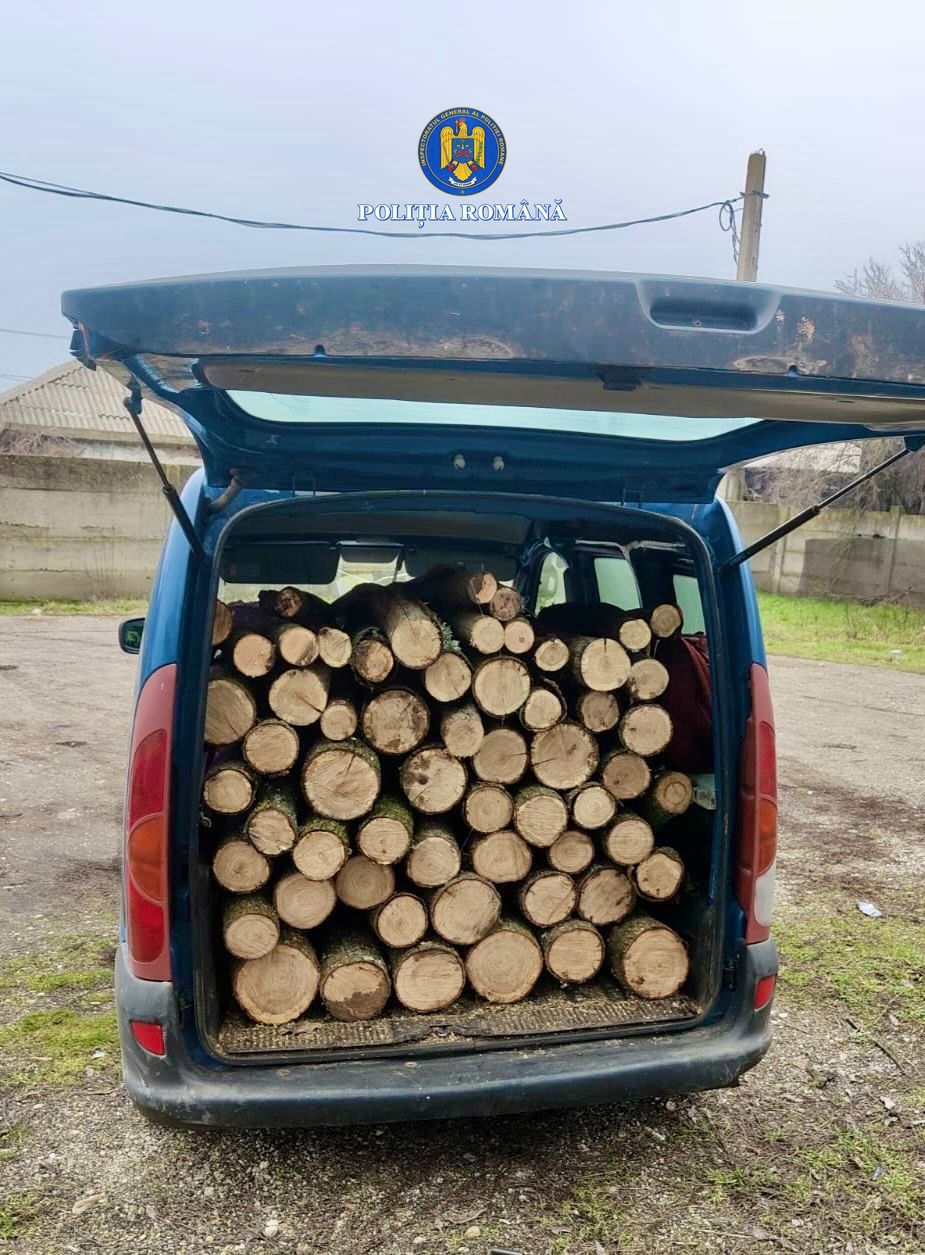 Transport ilegal de lemn, oprit de polițiști la Dragodana
