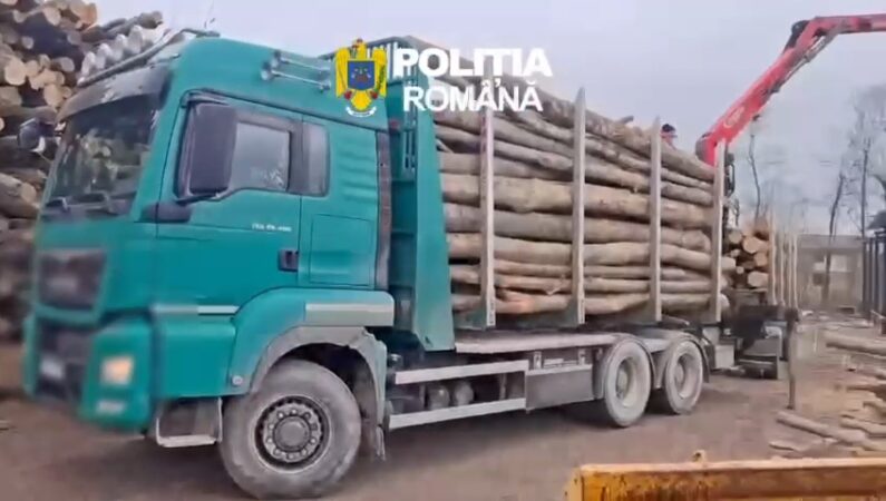 58 de metri cubi de lemn confiscați de polițiștii dâmbovițeni 58 de metri cubi de lemn confiscați de polițiștii dâmbovițeni