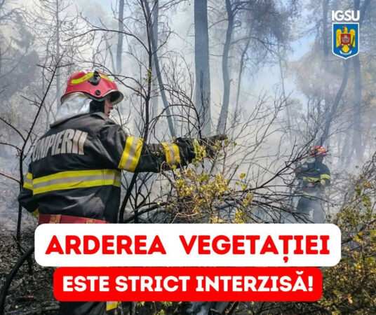 Alertă ISU Dâmbovița: Primele incendii de vegetație din acest an au apărut odată cu încălzirea vremii