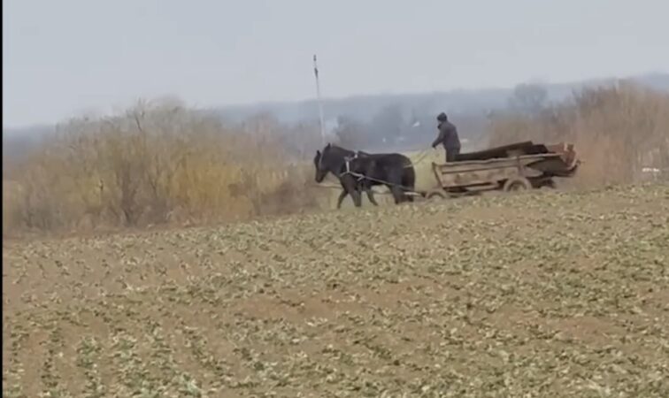 Amenzi drastice fără menajamente aplicate de Primăria Răcari: Spunem NU poluării!