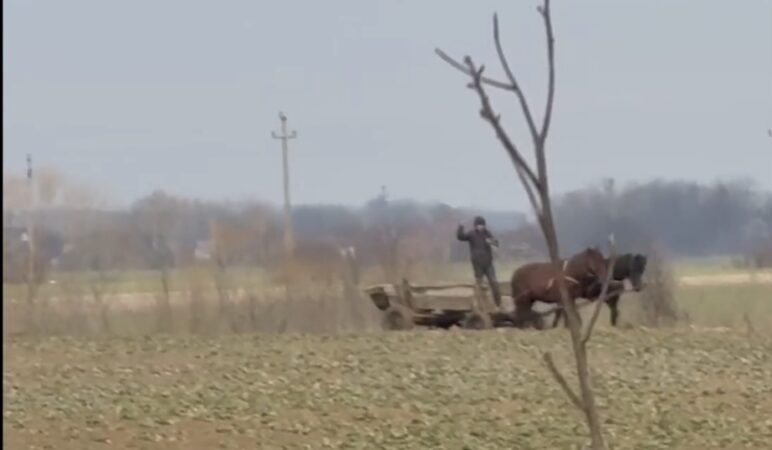 Amenzi drastice fără menajamente aplicate de Primăria Răcari: Spunem NU poluării!