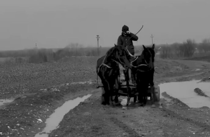 Amenzi drastice fără menajamente aplicate de Primăria Răcari: Spunem NU poluării!