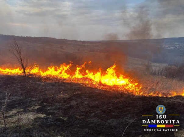 Iadul pe câmpurile și terenurile Dâmboviței: Incendiile de vegetație fac ravagii Iadul pe câmpurile și terenurile Dâmboviței: Incendiile de vegetație fac ravagii