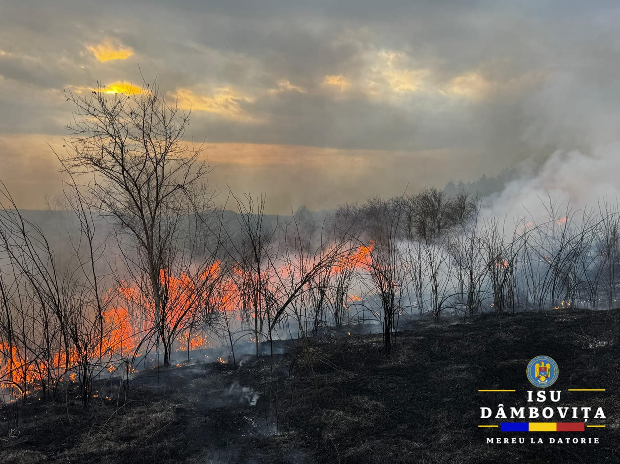 Iadul pe câmpurile și terenurile Dâmboviței: Incendiile de vegetație fac ravagii