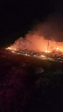 Incendiu devastator: 49 de animale au fost mistuite de flăcări 