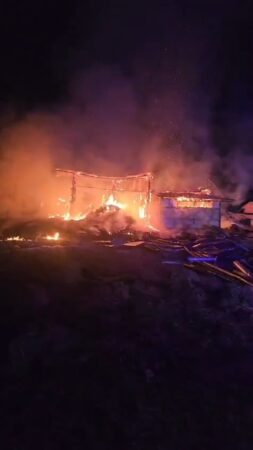 Incendiu devastator: 49 de animale au fost mistuite de flăcări 