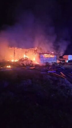 Incendiu devastator: 49 de animale au fost mistuite de flăcări 