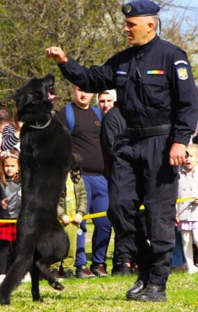 Jandarmii dâmbovițeni sărbătoresc Ziua Jandarmeriei alături de comunitate, la Dâmbovița Mall Jandarmii dâmbovițeni sărbătoresc Ziua Jandarmeriei alături de comunitate, la Dâmbovița Mall