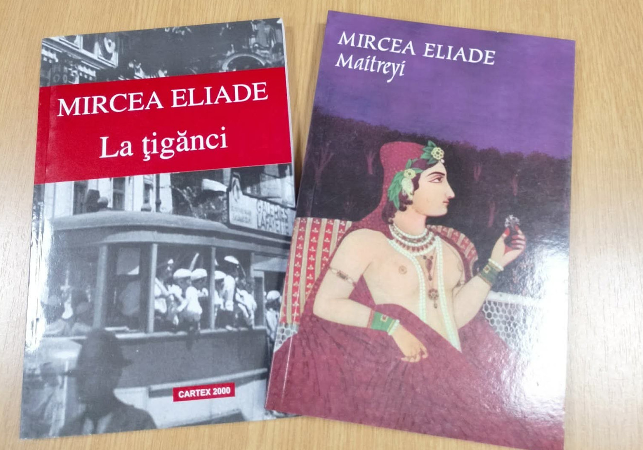 La Clubul Seniorilor din Dâmbovița: Radu Tudoran și Mircea Eliade, în centrul atenției