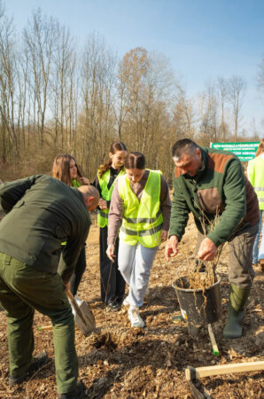 Start pentru Luna Plantării Arborilor: Peste 10.000 de puieți plantați la Bucșani