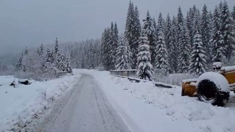  Ninsori  în zona montană Padina-Peștera, jandarmii dâmbovițeni, la datorie