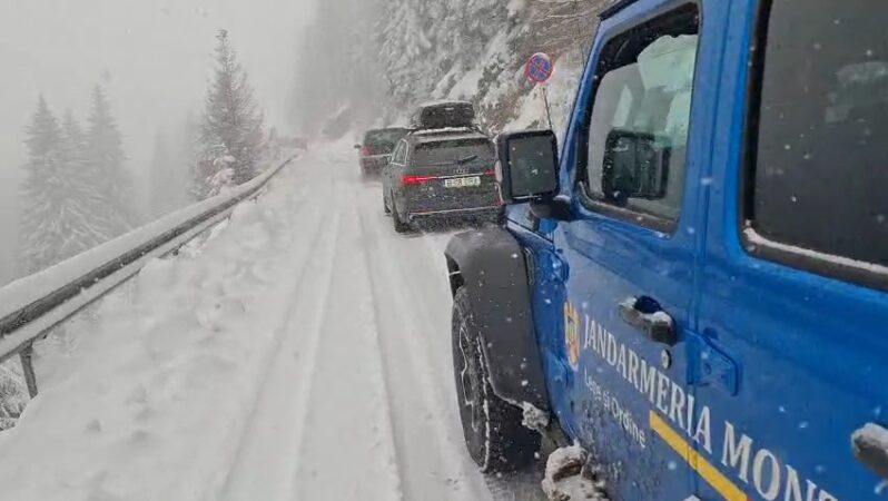  Ninsori  în zona montană Padina-Peștera, jandarmii dâmbovițeni, la datorie