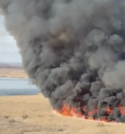 Prăpăd în România: Peste 500 de incendii de vegetație în doar trei zile