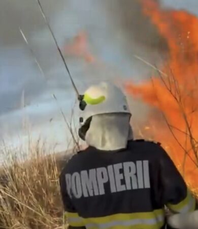 Prăpăd în România: Peste 500 de incendii de vegetație în doar trei zile