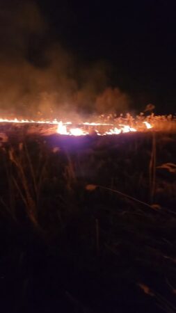 Prăpăd la Titu: câmpuri întregi mistuite de flăcări