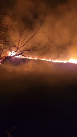 Prăpăd la Titu: câmpuri întregi mistuite de flăcări