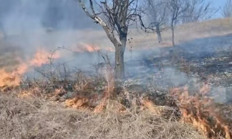  Primăvara, incendiile de vegetație – un real pericol pentru comunități
