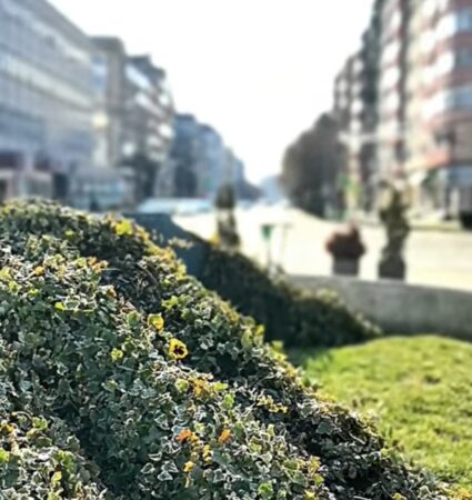 Primăvara aduce culoare și viață pe străzile din Târgoviște