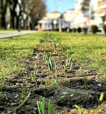 Primăvara aduce culoare și viață pe străzile din Târgoviște