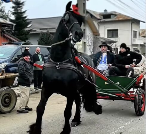  „Tudorița” – sărbătoare unică în România, celebrată la Târgoviște