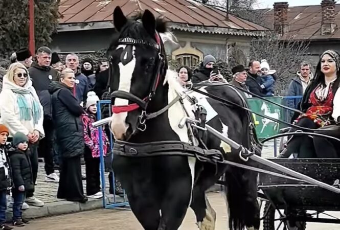  „Tudorița” – sărbătoare unică în România, celebrată la Târgoviște