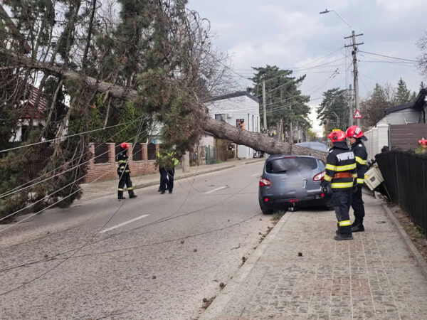 Atenționare meteorologică: Vânt puternic și ninsori viscolite în Dâmbovița