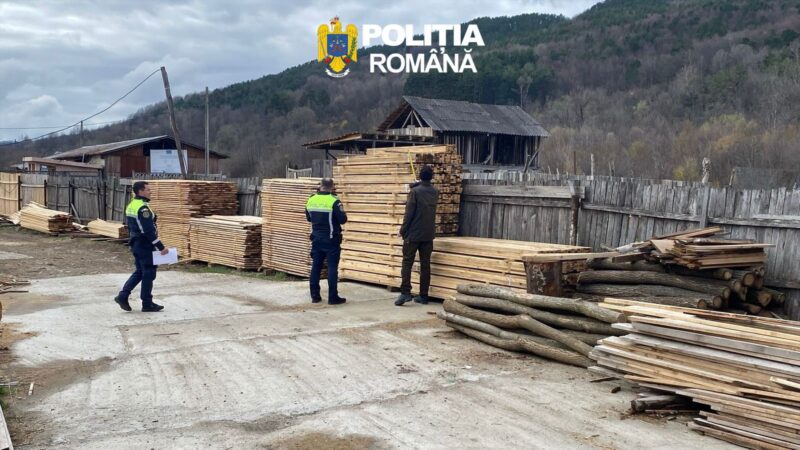 Comerțul ilegal cu lemn, în vizorul polițiștilor 