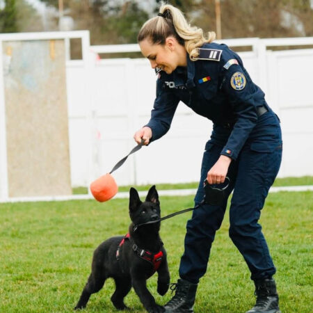 Cum începe ziua la MAI? Cu „Iureș” la treabă și zero lene de dimineață! 