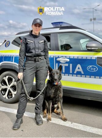 Debut promițător în lupta antidrog: câinele de serviciu „Fad” a făcut prima captură