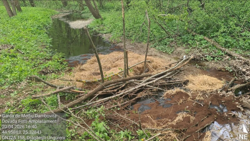 Dezastru ecologic la Gheboieni: țiței scurs în natură și amendă pentru neglijență gravă a operatorului economic