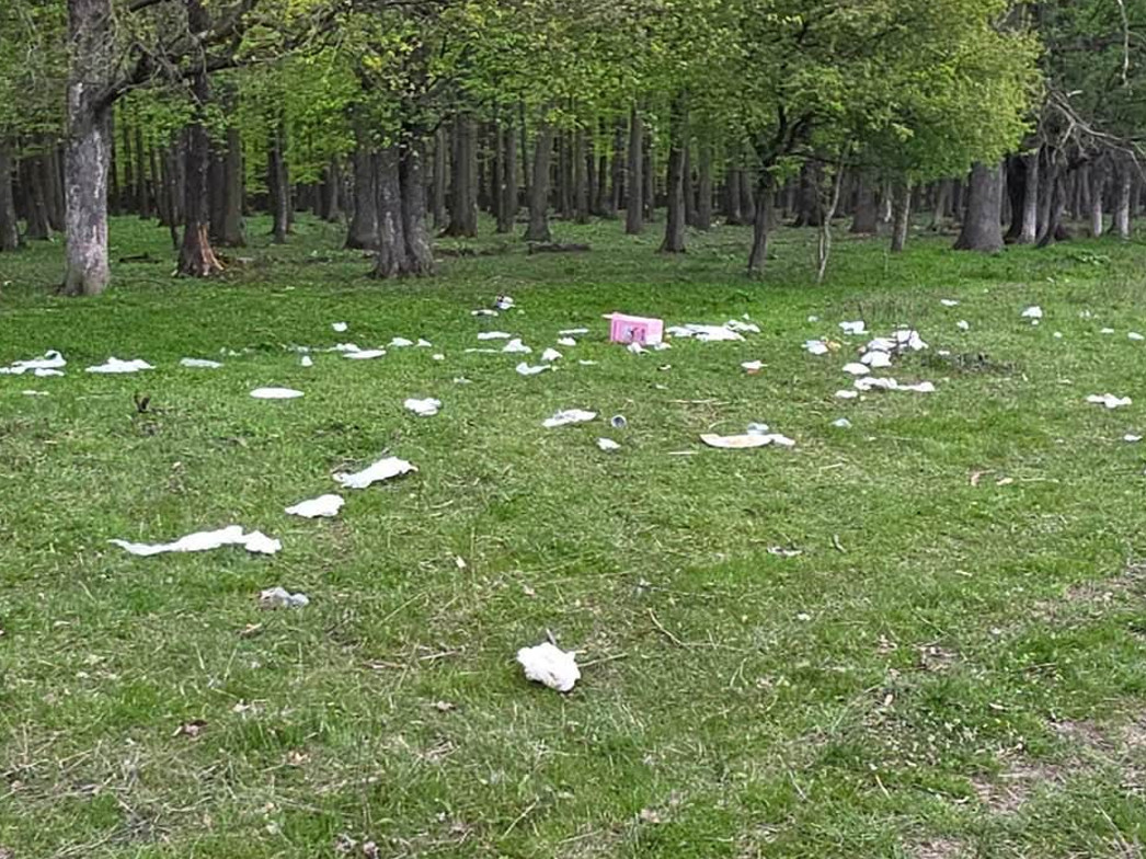 Dezastru în natură la Răcari: Peturi și gunoaie lăsate în urmă după minivacanța de Paște