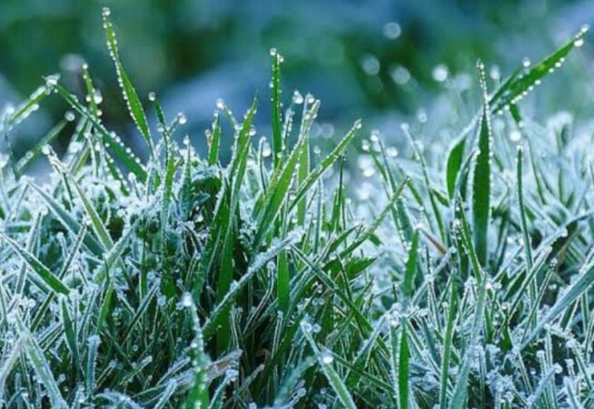 Dimineața  brumă,  ziua temperaturi plăcute și  vânt puternic începând de sâmbătă 