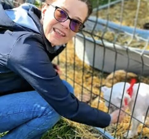 Eleganță, emoție și noi începuturi la Târgoviște: câinii de rasă și cei din adăpost au cucerit Parcul Chindiei