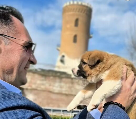 Eleganță, emoție și noi începuturi la Târgoviște: câinii de rasă și cei din adăpost au cucerit Parcul Chindiei