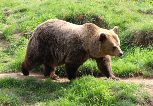 Grădina Zoologică din Târgoviște, relaxare în natură pentru întreaga familie