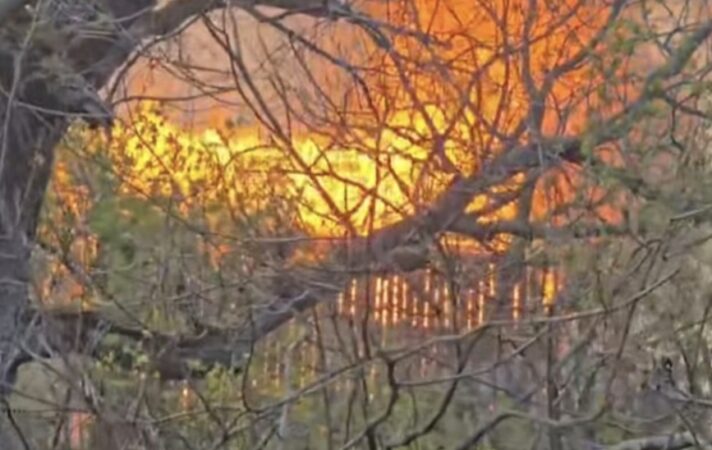  INCENDIU DE VEGETAȚIE USCATĂ ÎN VULCANA-BĂI, INTERVENȚIE DIFICILĂ DIN CAUZA VÂNTULUI 