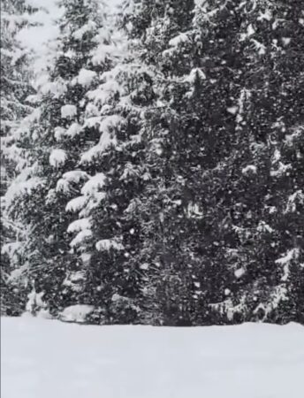 Iarnă în plină primăvară la munte, a nins  ca-n povești în zona Padina–Peștera:  Salvamont Dâmbovița avertizează turiștii