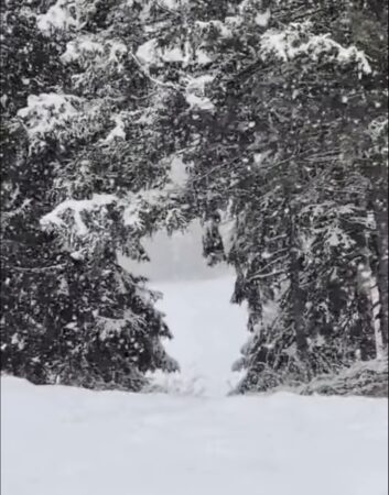 Iarnă în plină primăvară la munte, a nins  ca-n povești în zona Padina–Peștera:  Salvamont Dâmbovița avertizează turiștii